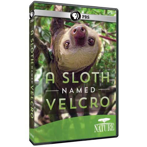 Nature A Sloth Named Velcro Dvd