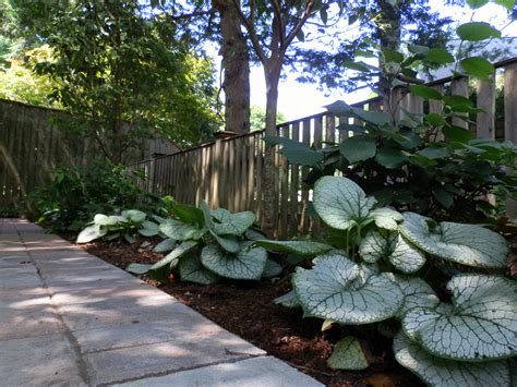 The white streak in the variegated varieties of the shade garden plants works well too. Customized Shade Garden Design