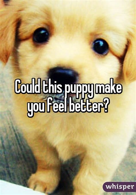 could this puppy make you feel better