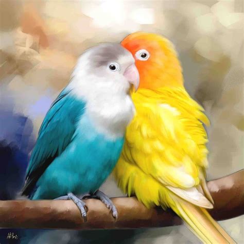 صور طيور الحب