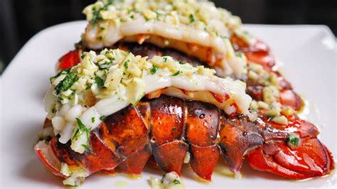 everything you need to know about lobster
