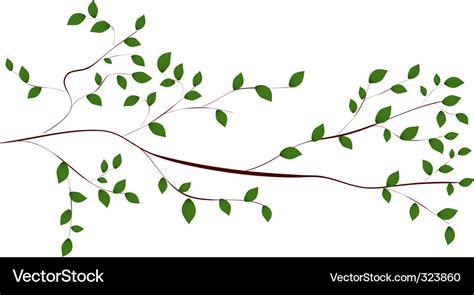 Tree Branch Royalty Free Vector Image Vectorstock