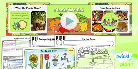 Science dlp year 2 unit 1 21 01 2021. Science: Plants: Plants We Eat Year 2 Lesson Pack 5