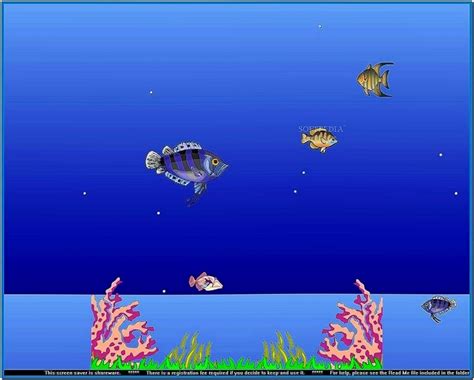 Moving Fish Tank Screensaver Mac Download Free
