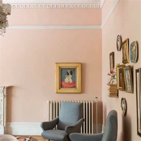 Farrow And Ball Paint Shown In Pink Ground Elegant In Any Room And Pink