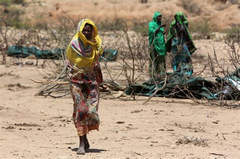Struggling For Survival In Drought Hit Somaliland