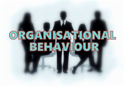 Organisational Behaviour Meaning Definition And Key Elements