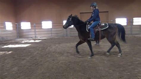 Lunging your horse in a round pen is a great way to work on groundwork and learn how to. Starting A Horse Under Saddle in the Round Pen - YouTube