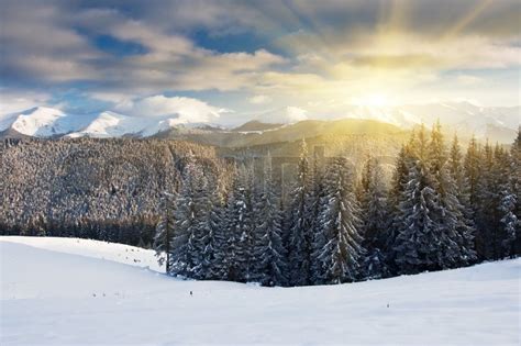 Majestic Sunset In The Winter Mountains Stock Image Colourbox