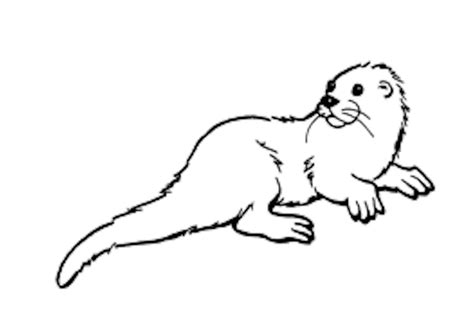 Baby Sea Otter Coloring Page Otter Coloring Pages Download And Print