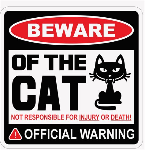 Beware Of Cat 12x12 Novelty Sign Sign Screenyard Signs Security