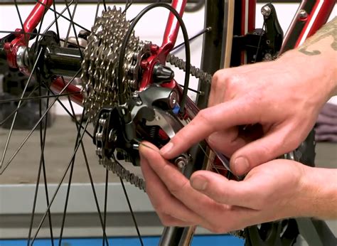 How To Fix A Mountain Bike Chain Thats Jumping Or Skipping Gears
