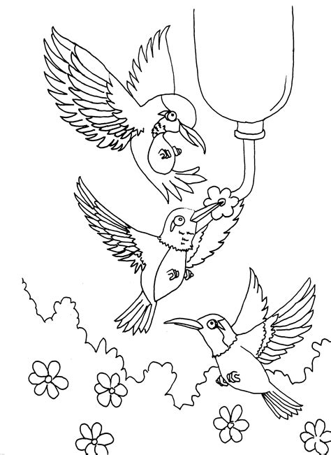 Beautiful birds like hummingbird you can scare after coloring and beautify your home or give as a gift to your friends. Free Printable Hummingbird Coloring Pages For Kids