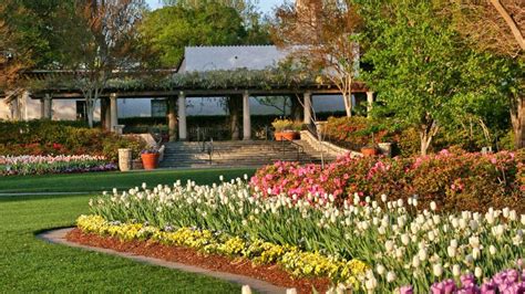 Dallas Blooms A Great Example Of Landscape Design Planning