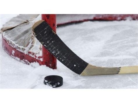 Former Nhl Player Suing Youth Hockey Club Joliet Il Patch