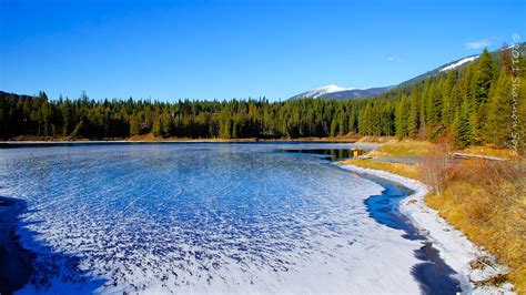 The Crystal Clear Water Flathead Lake In Montana