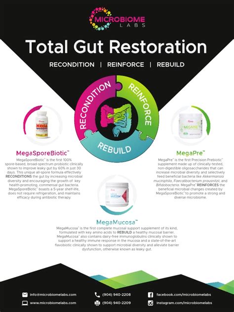 Microbiome Labs Total Gut Restoration Pdf Medical Specialties