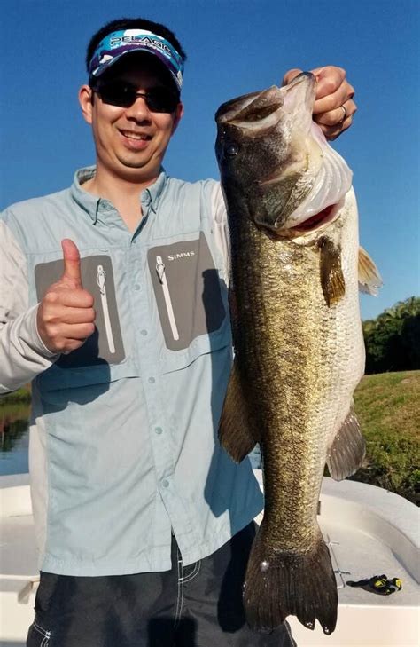 How To Catch Largemouth Bass Tips For Fishing For Largemouth Bass