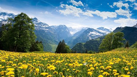 Mountains Landscape Nature Mountain Spring Meadow