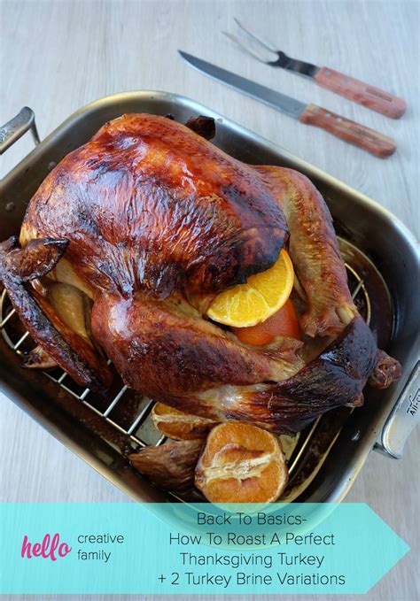 Back To Basics How To Roast A Perfect Thanksgiving Turkey 2 Turkey