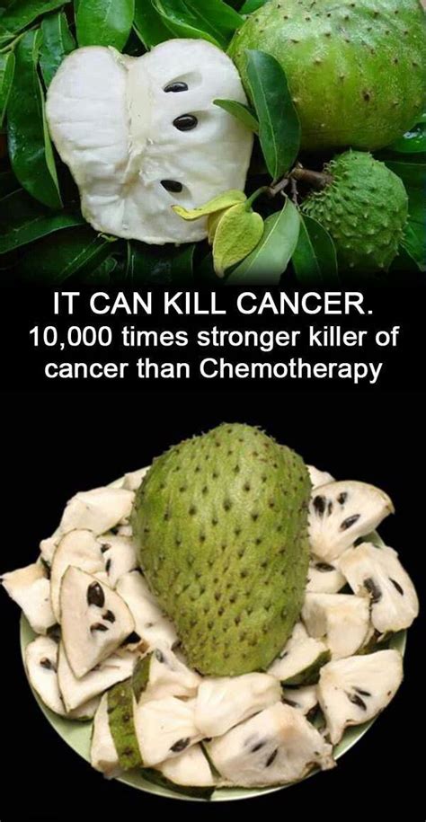 This One Plant Can Cure Cancer Cells Even 10000 Times Better Than