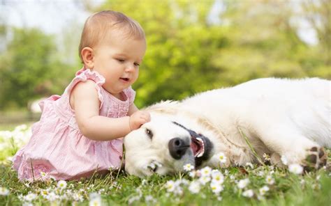 Small Babies Children Big Dogs 65880 Suggested Post