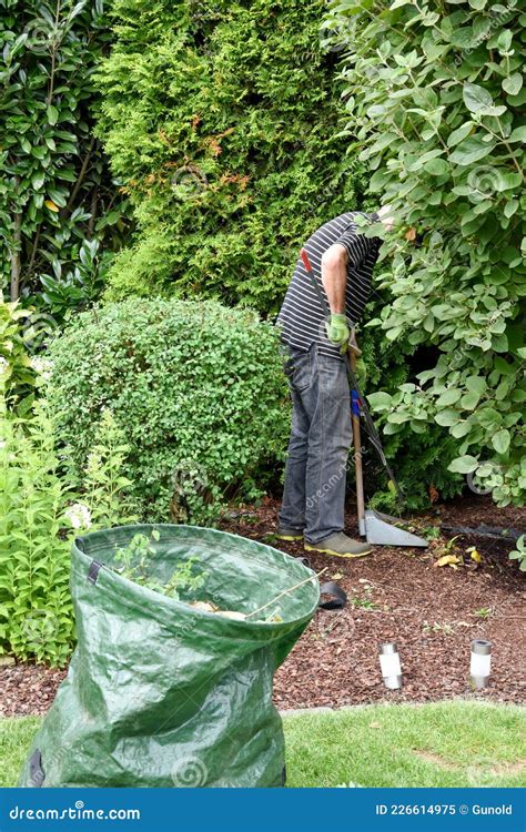 Gardening Hobby Of A Senior Man Stock Image Image Of Lifestyle
