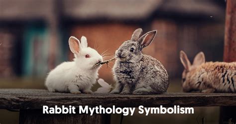 The Symbolic Meaning Of Rabbits Mysticsense