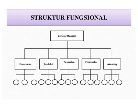 Struktur Organisasi Fungsional Dan Contohnya Pada Per Vrogue Co