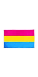 Amazon Com FLAGLINK MLM Vincian Pride Flag 3x5Fts Blue Gay Pride