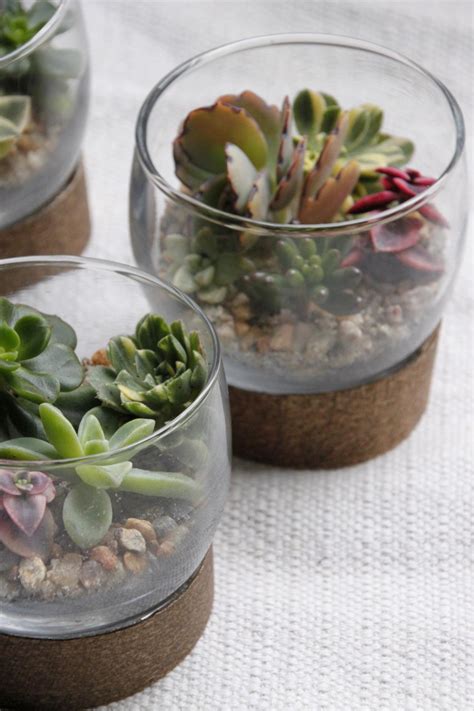 How to create a succulent garden. Succulent Terrariums | HGTV