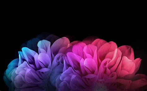 Colorful Desktop Backgrounds 70 Images