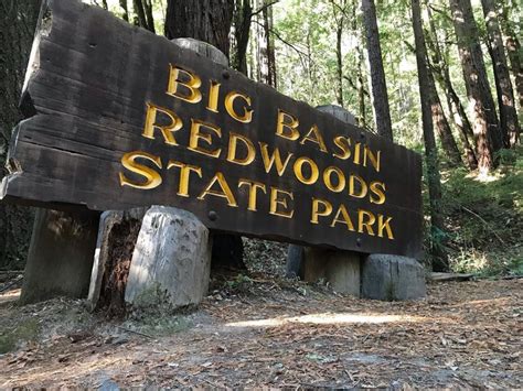 2 000 Year Old Redwoods At California S Oldest State Park Survived The Wildfires