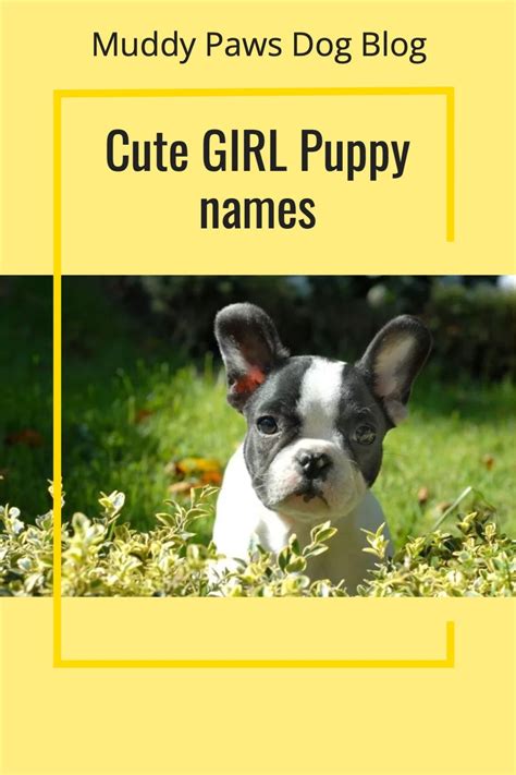 Cute Girl Puppy Names Artofit
