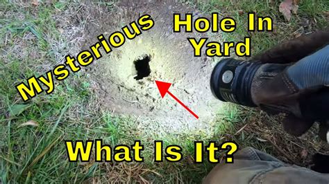 Mysterious Hole In Yard What Is It Youtube