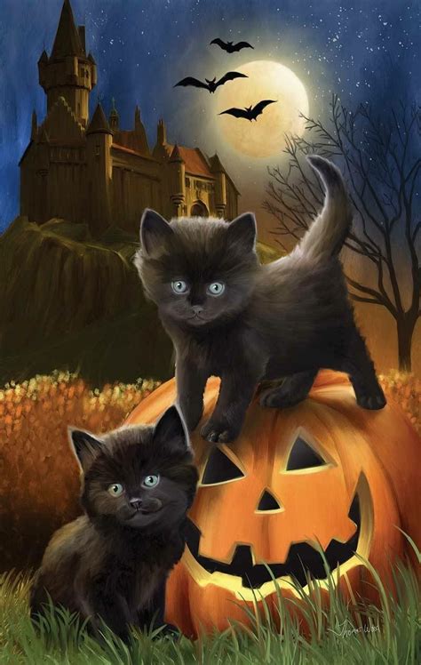 Pin By Jackie Wilson On Black Cats Halloween Pictures Black Cat
