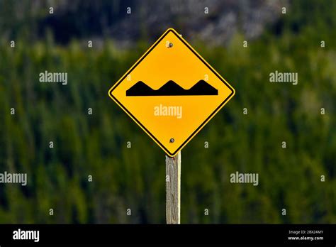 A Bump Sign On The Road Warning Motorist That There Is A Bump On The