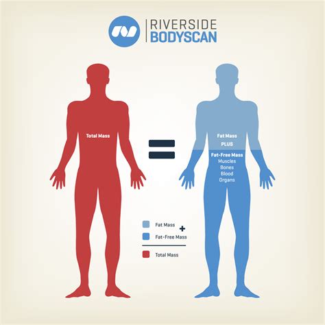 Why We Are Dumping On Bmi Body Mass Index From A Great