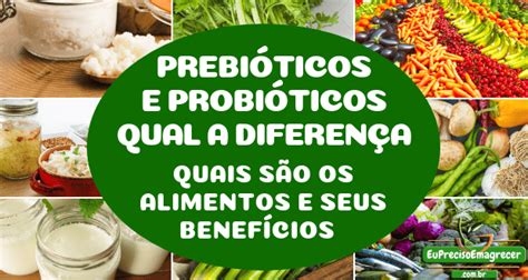 Prebióticos E Probióticos Diferença E Alimentos Probioticos Naturais
