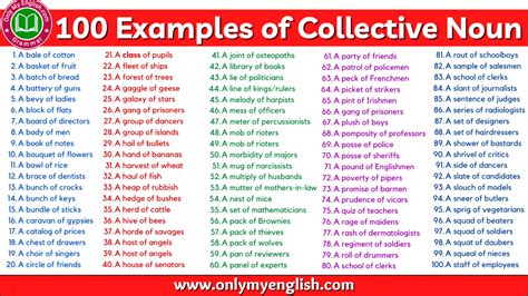 100 Examples Of Collective Noun Are In Sentences