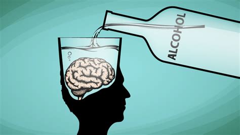Effect Of Alcohol Brain Damage 1st For Credible News