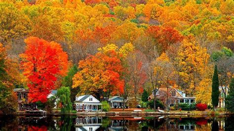 Colorful Autumn Fall Leafed Trees Houses Reflection On Water Hd Autumn
