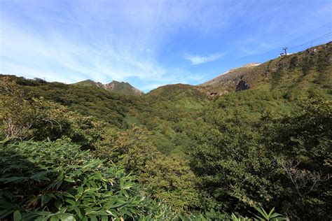 34 Galeri Gambar Pemandangan Hutan Dan Gunung Guyonre