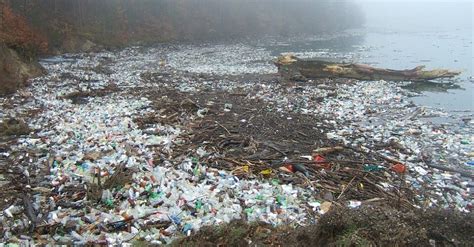 Eu To Ban Single Use Plastics By 2021