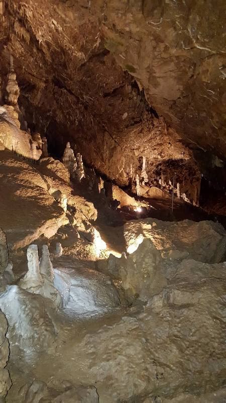 How to get from macocha gorge to brno by train, taxi or car. Visiting Macocha Abyss and Punkva Cave as a Day Trip from Brno - Path is my goal