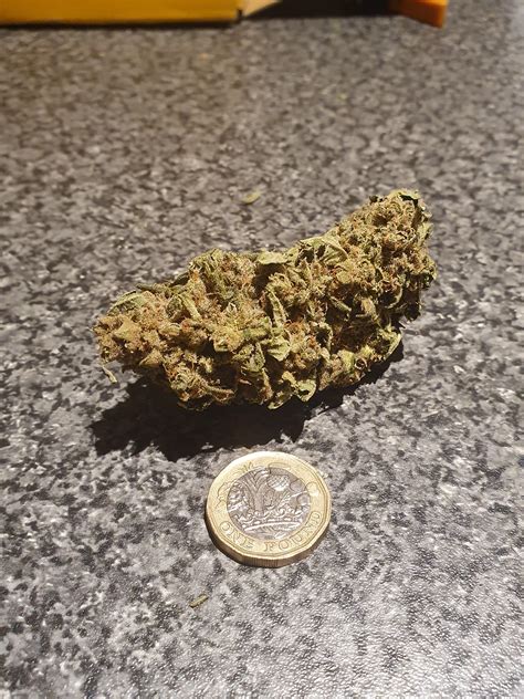 Picture Of My £1 Coin 64g Nug For Scale Ruktrees