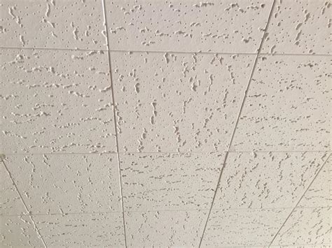 Investigate how the ceiling tiles are attached. What is behind this ceiling tile? I want to hang plants ...