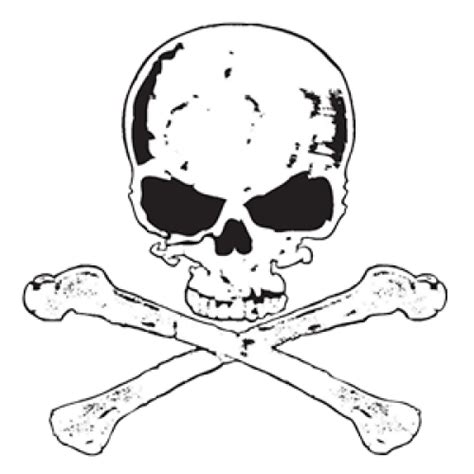 Skull Bones Transparent Png Arts