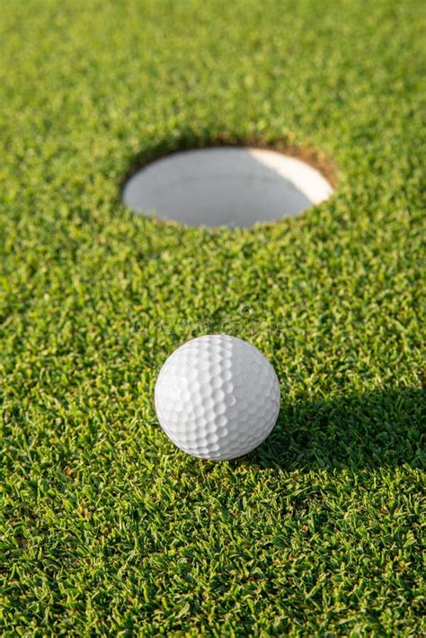 Golfed Ball On Golf Course Of Green Grass Stock Photo Image Of Grass