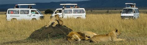 Bruno Safaris Kenya And Tanzania Safaris Combination Tour Packages